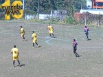 200725 - Ronan Ferreira - Ajesp x Palmeri (1)