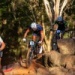 Karen Olimpio e Luiz Cocuzzi garantiram vitórias para o Brasil na CiMTB Araxá