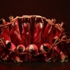 Mostra de Danças do FestNatal começa nesta segunda (12) destacando talentos e criatividade
