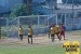 Reveja, em imagens, a última rodada da primeira fase da Copa dos Campeões