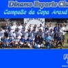 Baixe o pôster/wallpaper do Dínamo – Campeão da Copa Araxá 2022